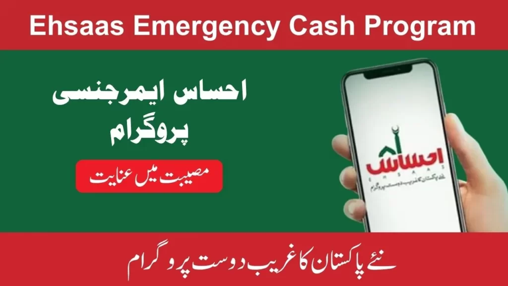 Ehsaas Program CNIC Check Online Latest Update 2024