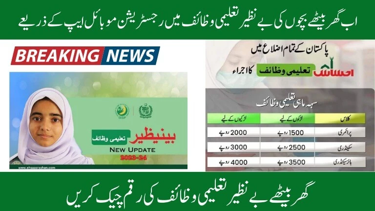 Benazir Taleemi Wazaif Online Registration Mobile App 2024