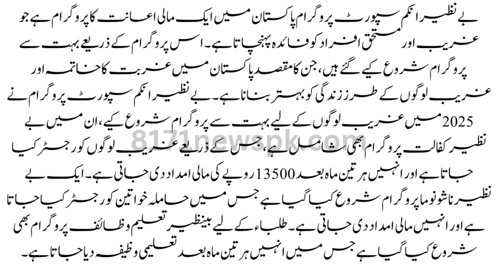 بے نظیر انکم سپورٹ پروگرام پاکستان میں ایک مالی اعانت کا پروگرام ہے جو غریب اور مستحق افراد کو فائدہ پہنچاتا ہے۔