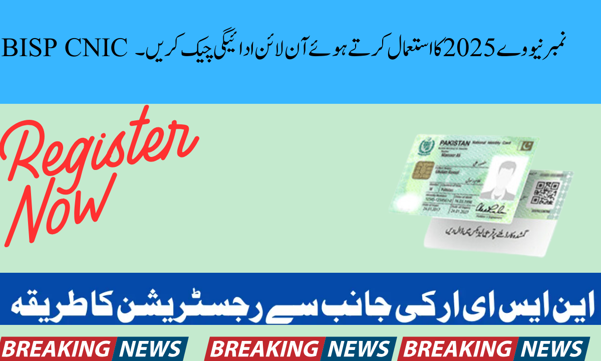 BISP CNIC نمبر نیو وے 2025 کا استعمال کرتے ہوئے آن لائن ادائیگی چیک کریں۔