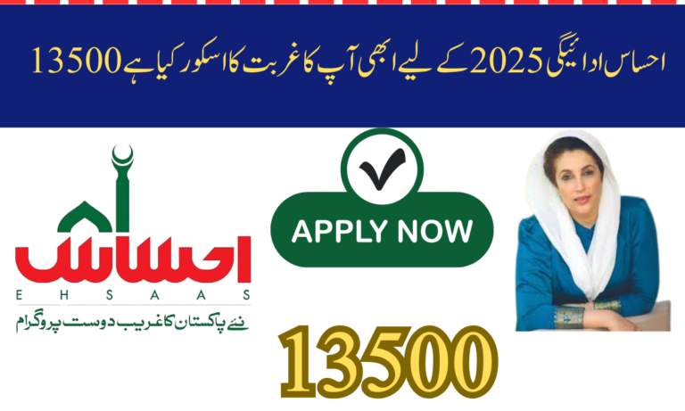 13500 احساس ادائیگی 2025 کے لیے ابھی آپ کا غربت کا اسکور کیا ہے